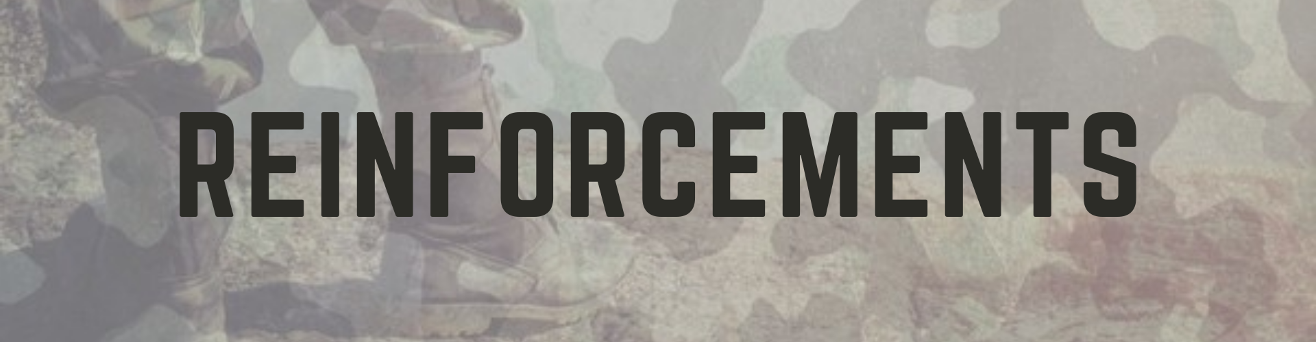 Reinforcements